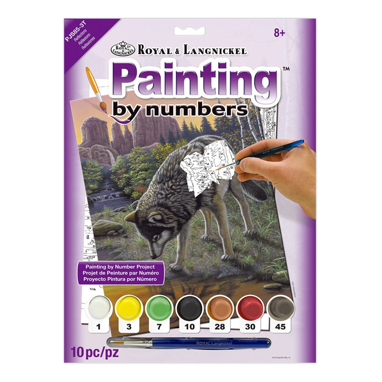 PJS85 | Painting by numbers™ 10pc 8.75" x 11.375" Reflections Painting Project